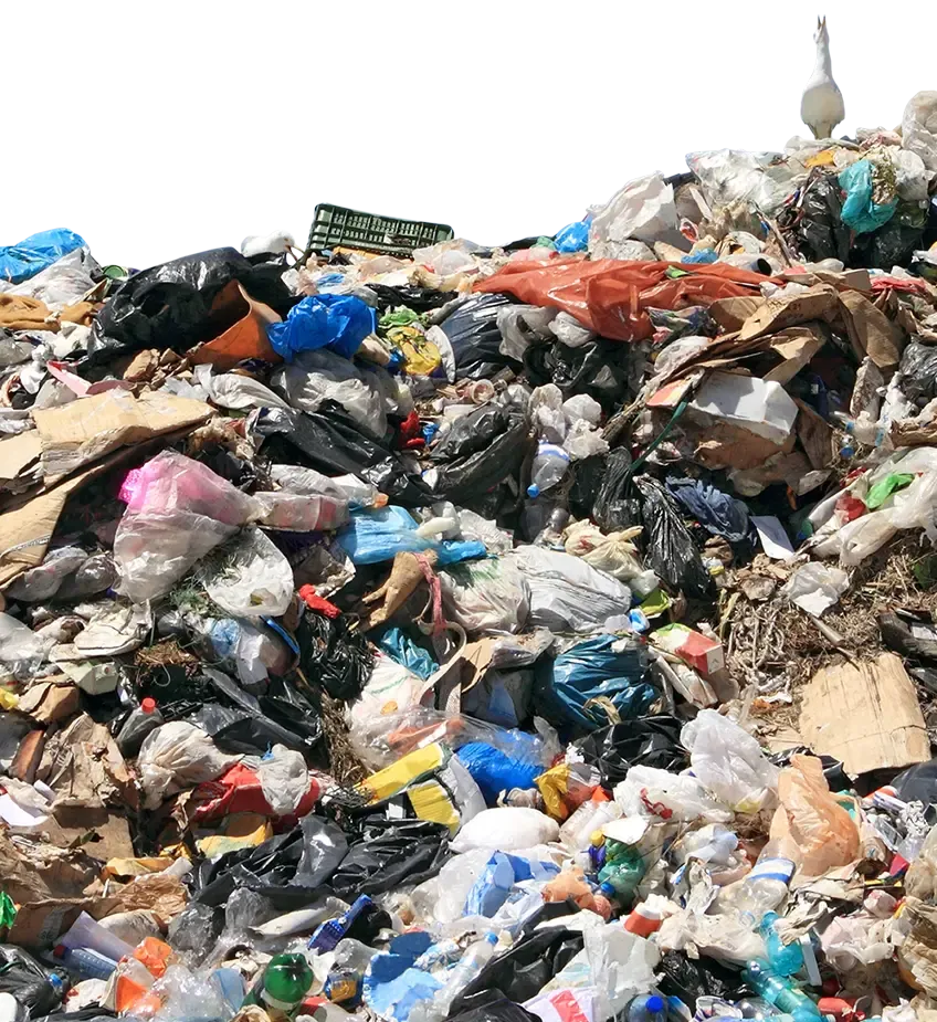 Mound of Waste