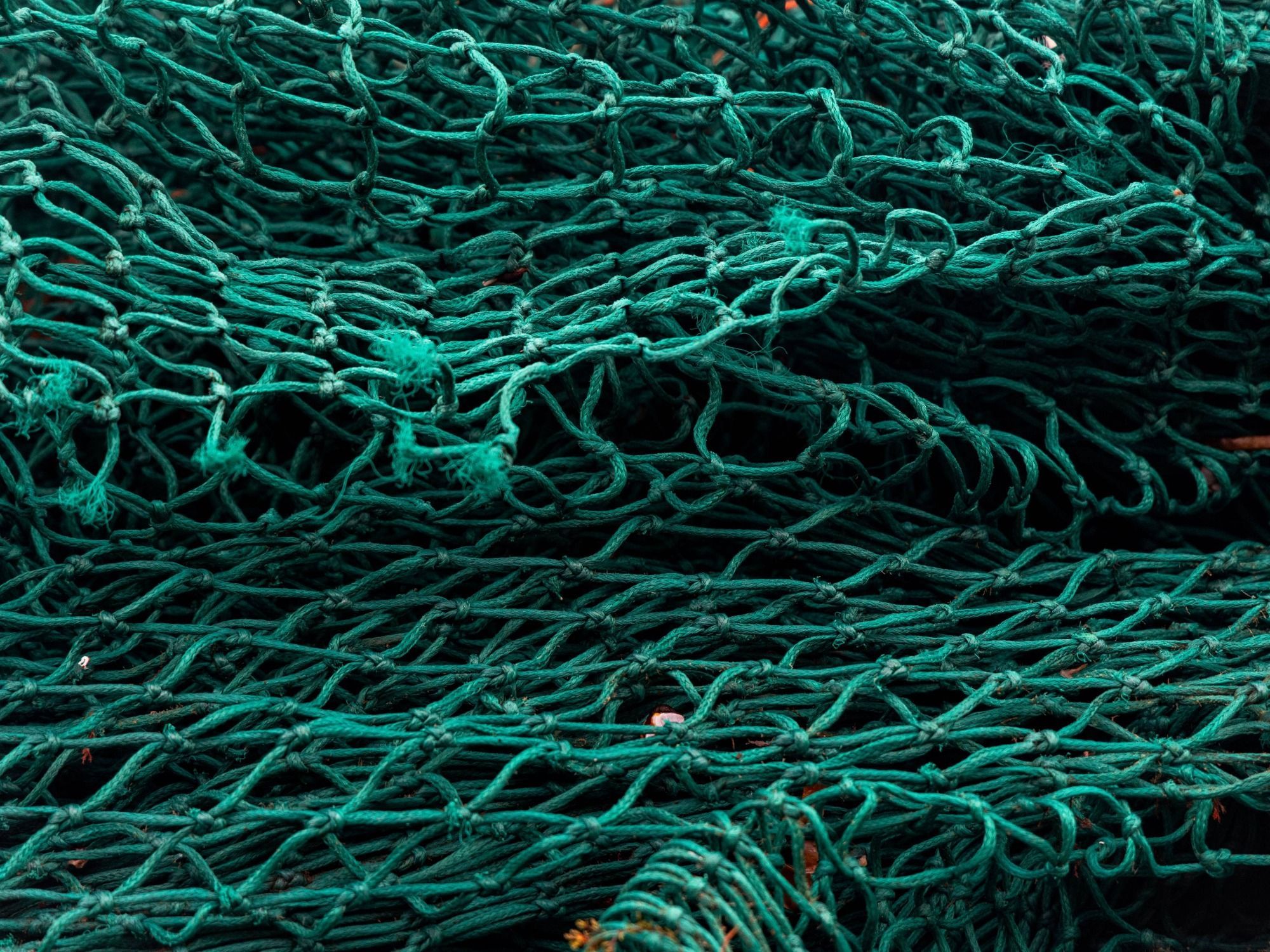 Made From Traceable Marine Plastic